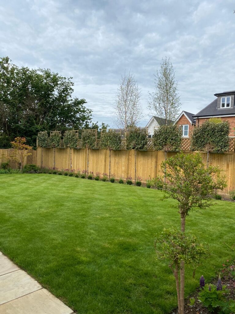 Groundworks & Landscaping Services in Farnham